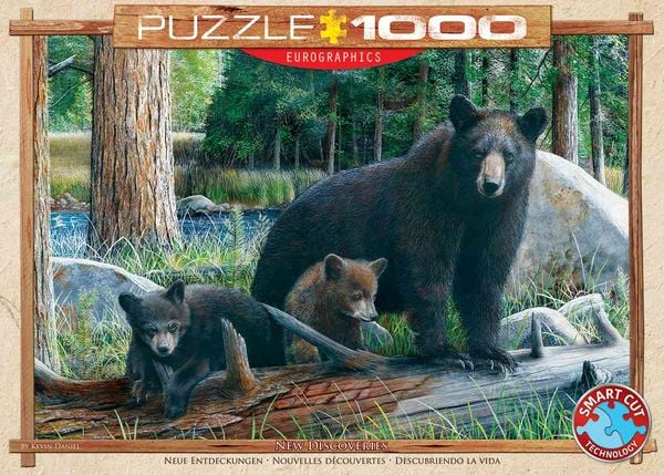 Eurographics 6000-0793 - Neue Entdeckungen von Kevin Daniel , Puzzle, 1.000 Teile