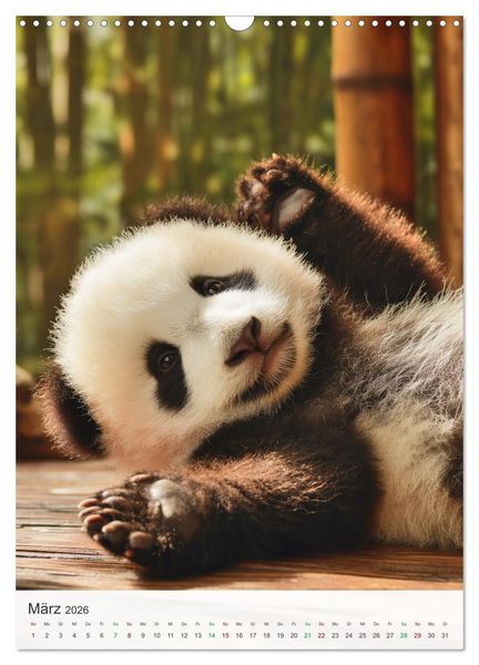 Produktbild: Tiermotive zum Verlieben (Wandkalender 2026 DIN A3 hoch), CALVENDO Monatskalender
