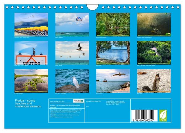 Produktbild: Florida &ndash; sunny beaches and mysterious swamps (Wall Calendar 2026 DIN A4 landscape), CALVENDO 12 Month Wall Calendar