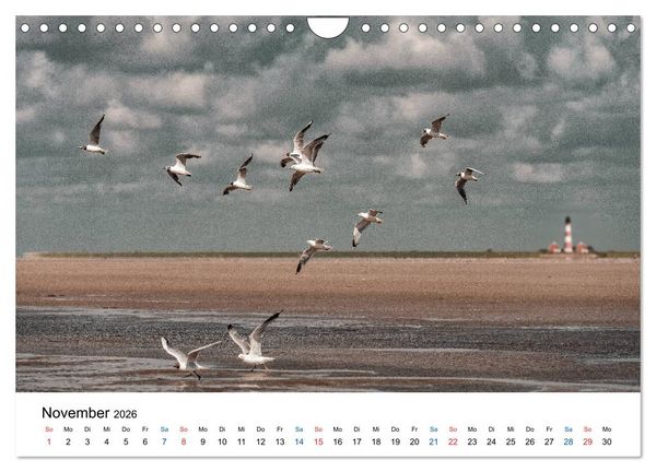 Produktbild: Lichtstimmungen in Sankt Peter-Ording (Wandkalender 2026 DIN A4 quer), CALVENDO Monatskalender