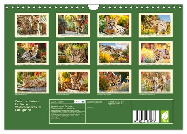 Produktbild: Savannah Katzen. Exotische Wildsch&ouml;nheiten im Naturgarten (Wandkalender 2026 DIN A4 quer), CALVENDO Monatskalender