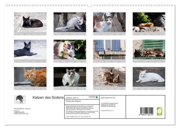 Produktbild: Katzen des S&uuml;dens (hochwertiger Premium Wandkalender 2026 DIN A2 quer), Kunstdruck in Hochglanz