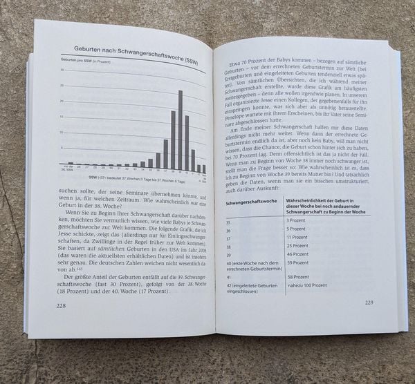 Produktbild: Das einzig wahre Schwangerschafts-Handbuch