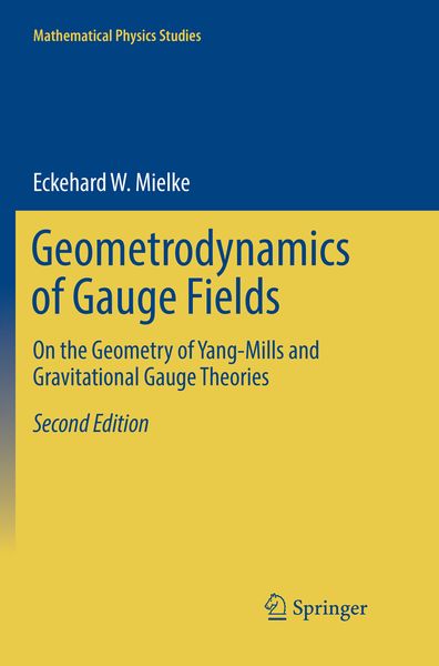 Produktbild: Geometrodynamics of Gauge Fields