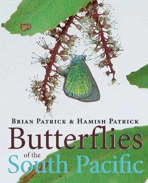 Produktbild: Patrick, B: Butterflies of the South Pacific