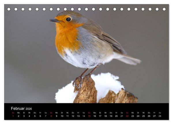 Produktbild: V&ouml;gel (Tischkalender 2026 DIN A5 quer), CALVENDO Monatskalender