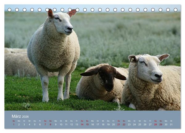 Produktbild: Westerhever (Tischkalender 2026 DIN A5 quer), CALVENDO Monatskalender