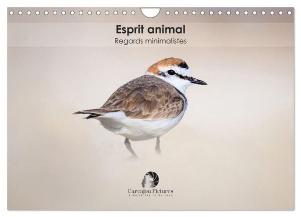 Produktbild: Esprit animal - Regards minimalistes (Calendrier mural 2027 DIN A4 vertical), CALVENDO calendrier mensuel