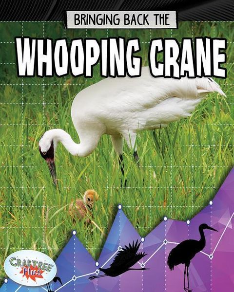 Produktbild: Bringing Back the Whooping Crane