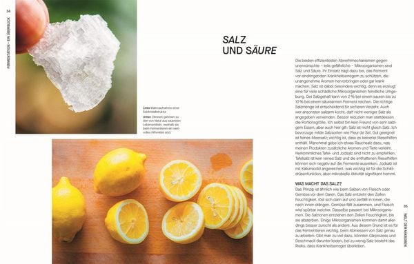 Produktbild: Fermentieren. Rezepte und Techniken f&uuml;r Geschmack, den man nicht kaufen kann