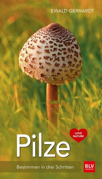 Produktbild: Pilze