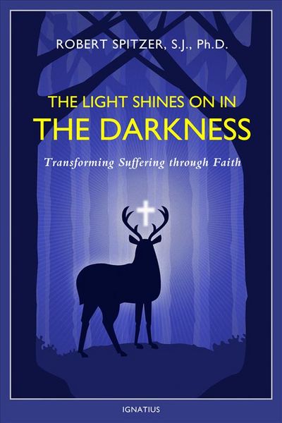 Produktbild: The Light Shines on in the Darkness