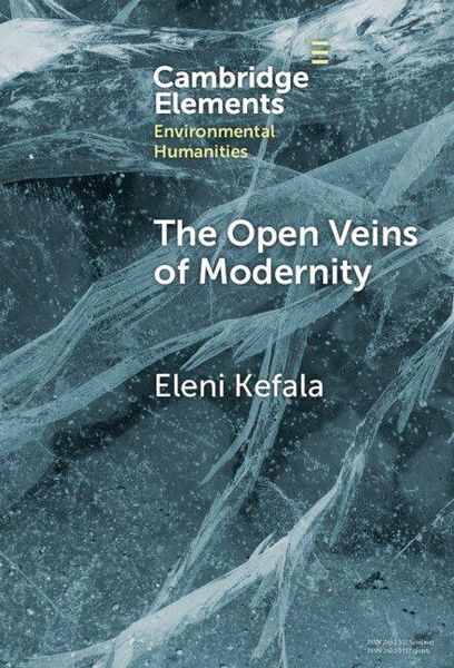 Produktbild: The Open Veins of Modernity