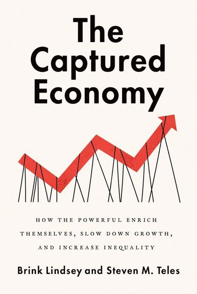 Produktbild: The Captured Economy