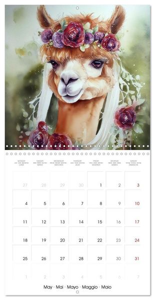 Produktbild: Alpagas du c&oelig;ur (Calendrier mural carr&eacute; 2026 30x30 cm) Calendrier double avec une page pour vos prises de notes