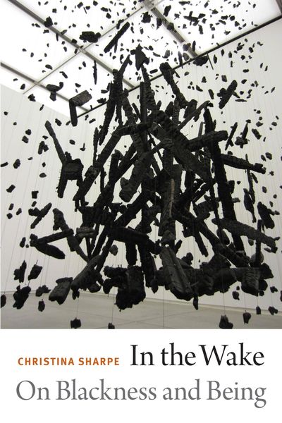 Produktbild: In the Wake