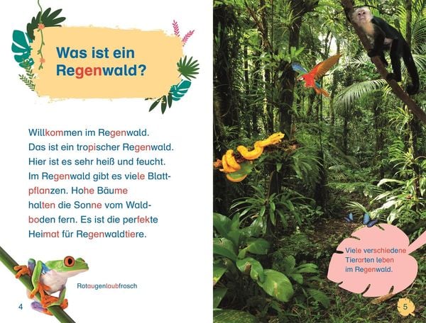 Produktbild: SUPERLESER! Kennenlern-Paket (8 B&auml;nde)