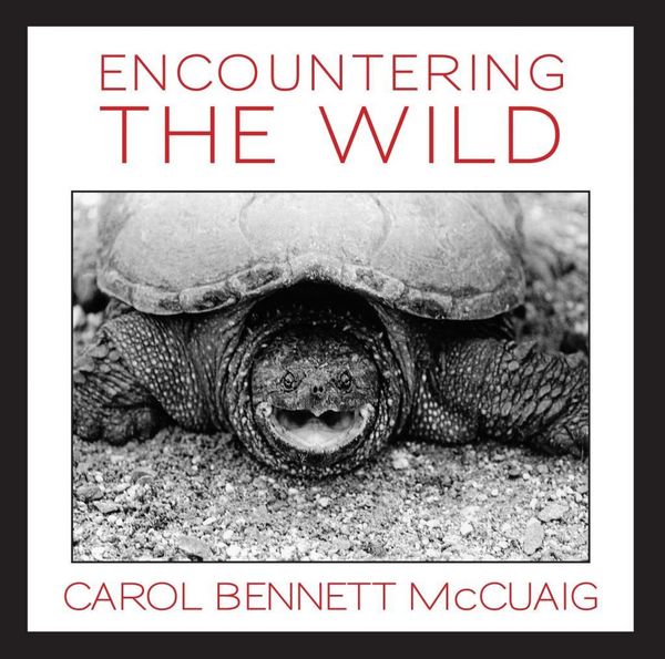 Produktbild: Encountering the Wild