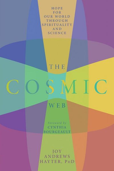 Produktbild: The Cosmic Web
