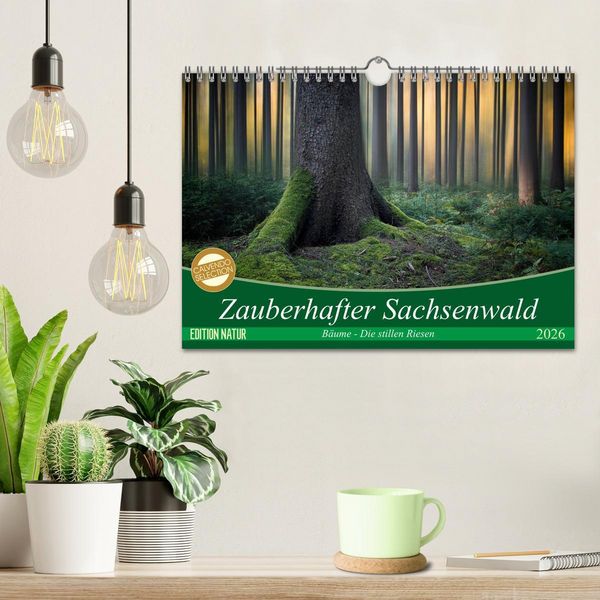 Produktbild: Zauberhafter Sachsenwald (Wandkalender 2026 DIN A4 quer), CALVENDO Monatskalender