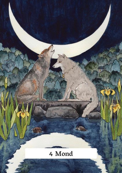 Produktbild: Das Tarot der Hexenweisheit