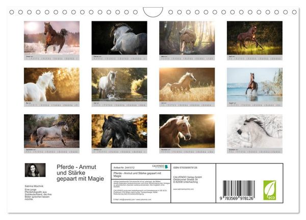 Produktbild: Pferde - Anmut und St&auml;rke gepaart mit Magie (Wandkalender 2027 DIN A4 quer), CALVENDO Monatskalender