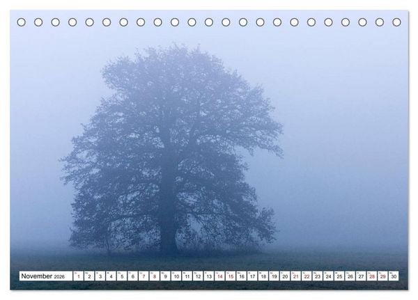 Produktbild: F&uuml;rstenfeldbruck - Streifzug durch Natur und Stadt (Tischkalender 2026 DIN A5 quer), CALVENDO Monatskalender