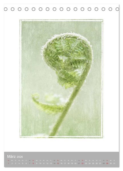 Produktbild: Kunstwerk Natur (Tischkalender 2026 DIN A5 hoch), CALVENDO Monatskalender