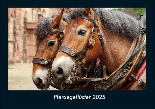 Produktbild: Pferdegefl&uuml;ster 2025 Fotokalender DIN A4