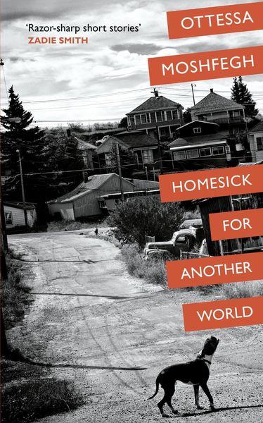 Produktbild: Homesick For Another World