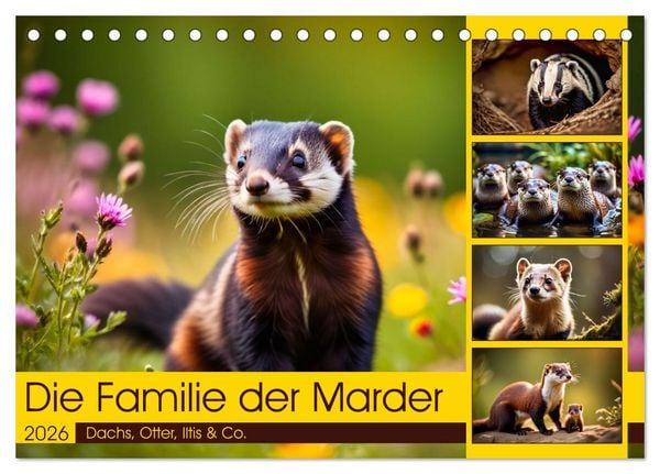 Die Familie der Marder (Tischkalender 2026 DIN A5 quer), CALVENDO Monatskalender