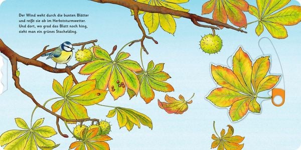 Produktbild: Das Kastanienwunder