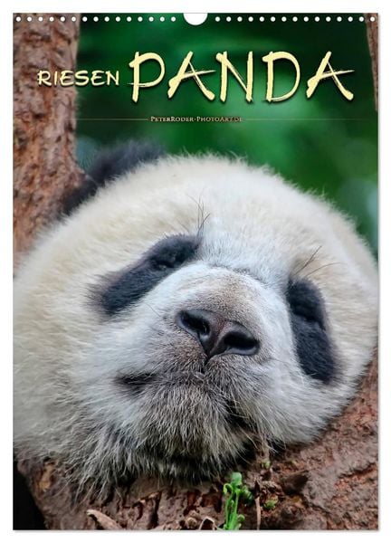 Riesenpanda (Wandkalender 2025 DIN A3 hoch), CALVENDO Monatskalender