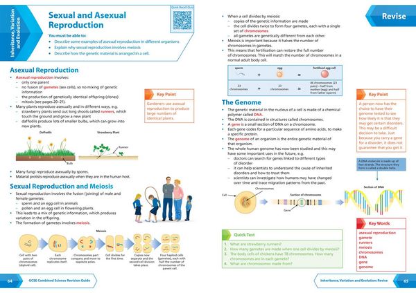 Produktbild: Aqa Gcse 9-1 Combined_gcse Gra