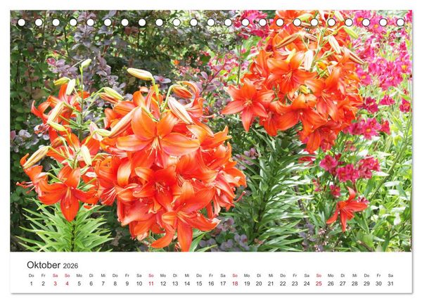 Produktbild: Feurige Lilien (Tischkalender 2026 DIN A5 quer), CALVENDO Monatskalender