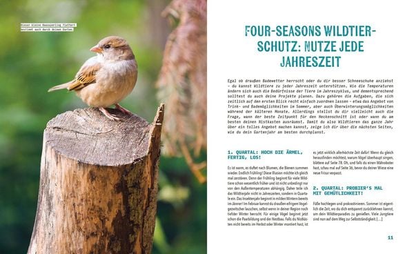 Produktbild: Tierisch viel los!
