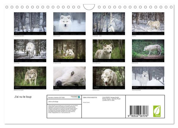 Produktbild: J'ai vu le loup (Calendrier mural 2026 DIN A4 vertical), CALVENDO calendrier mensuel