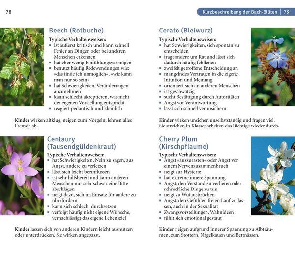 Bachblüten