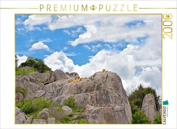 CALVENDO Puzzle Löwenkinder | 2000 Teile Lege-Größe 90x67cm Foto-Puzzle für glückliche Stunden