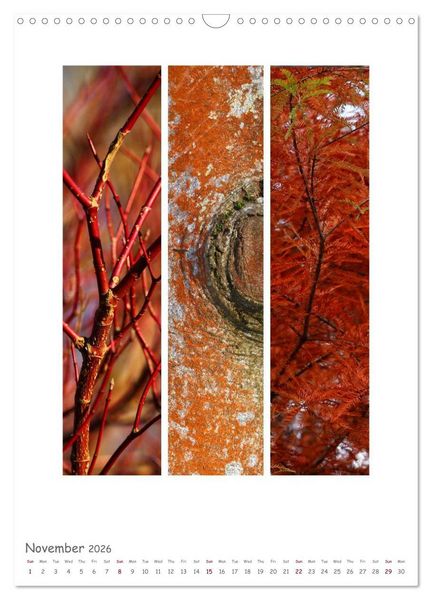 Produktbild: Colours of Nature - Triptycha (Wall Calendar 2026 DIN A3 portrait), CALVENDO 12 Month Wall Calendar