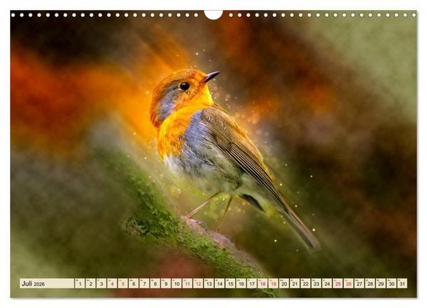 Produktbild: Bei uns im Garten - Rotkehlchen (Wandkalender 2026 DIN A3 quer), CALVENDO Monatskalender