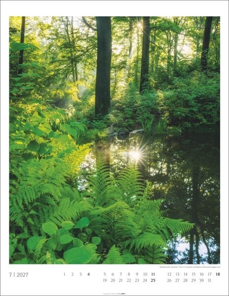 Produktbild: Heimische W&auml;lder Kalender 2027