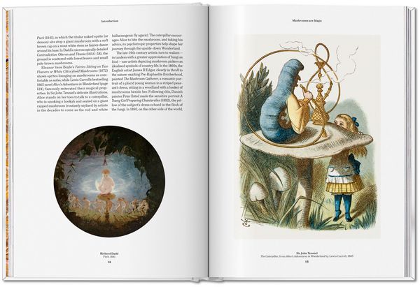 Produktbild: The Gourmand's Mushroom
