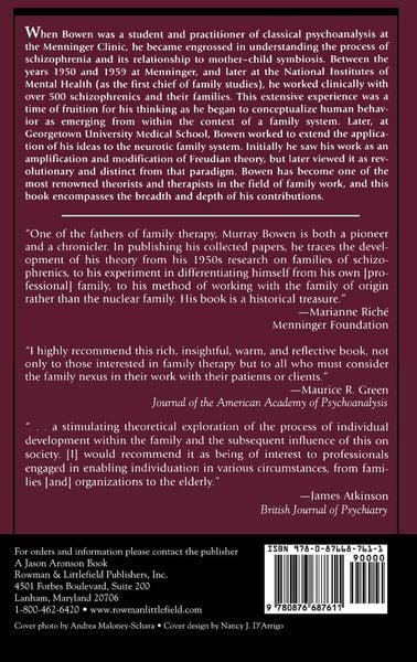 Produktbild: Family Therapy in Clinical Practice