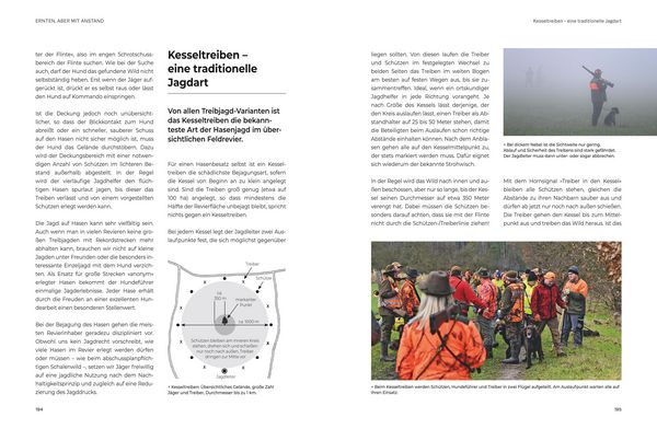 Produktbild: Das gro&szlig;e BLV Handbuch Niederwild
