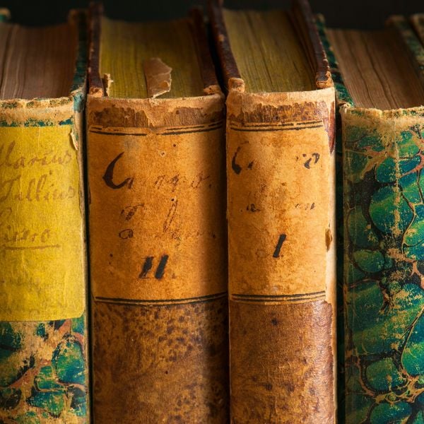 Produktbild: The Culture of Books 2027