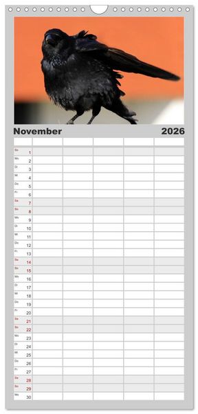 Produktbild: Familienplaner 2026 - Rabenschwarze Impressionen - meike-ajo-dettlaff.de via wildvogelhlfe.org mit 5 Spalten (Wandkalender, 21 x 45 cm) CALVENDO