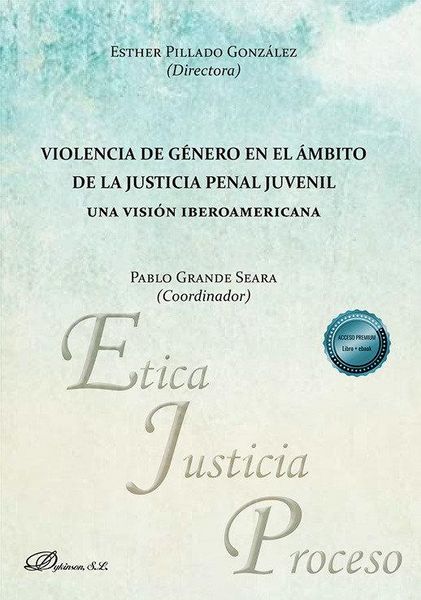 Produktbild: Violencia de g&eacute;nero en el &aacute;mbito de la justicia penal juvenil. Una visi&oacute;n iberoamericana