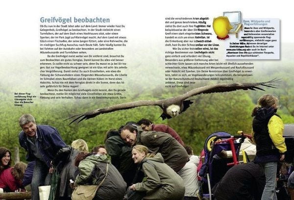 Produktbild: Entdecke die Greifv&ouml;gel
