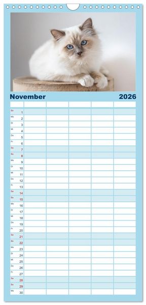Produktbild: Familienplaner 2026 - Heilige Birma Katzen Kalender mit 5 Spalten (Wandkalender, 21 x 45 cm) CALVENDO